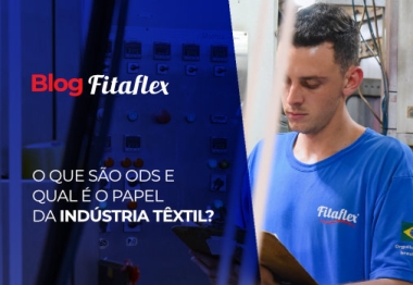 Objetivos de Desenvolvimento Sustent�vel na Industria.  